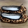Bailarina leopardo - Imagen 2